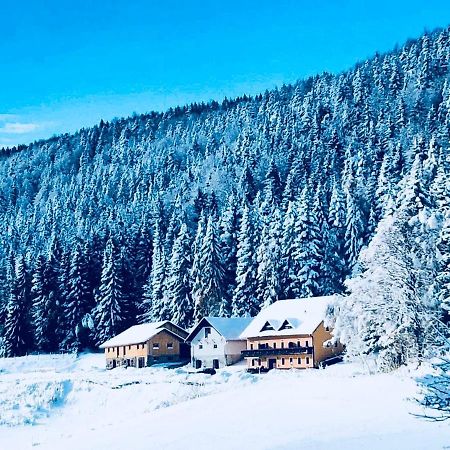 Apartments Planina Pod Sumikom Planina pod Sumnikom Buitenkant foto