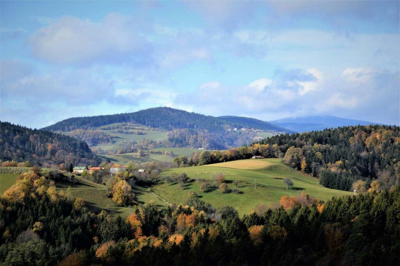 Apartments Planina Pod Sumikom Planina pod Sumnikom Buitenkant foto