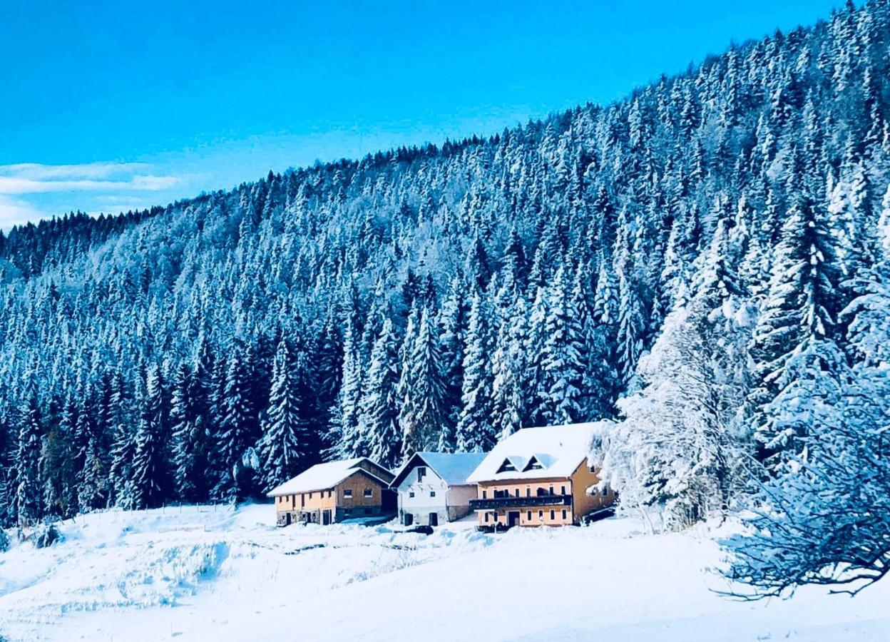 Apartments Planina Pod Sumikom Planina pod Sumnikom Buitenkant foto